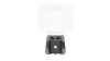 PHAROS DC-100W with balloon